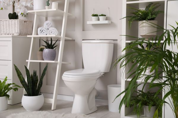 Cost of Toilet Repair in Green Bay