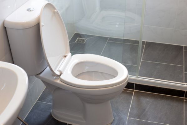 Cost of Toilet Replacement in Green Bay