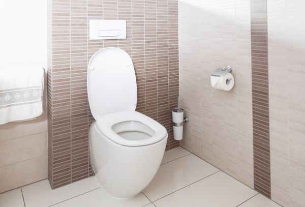 Cost of Toilet Plumbing Installation in Green Bay